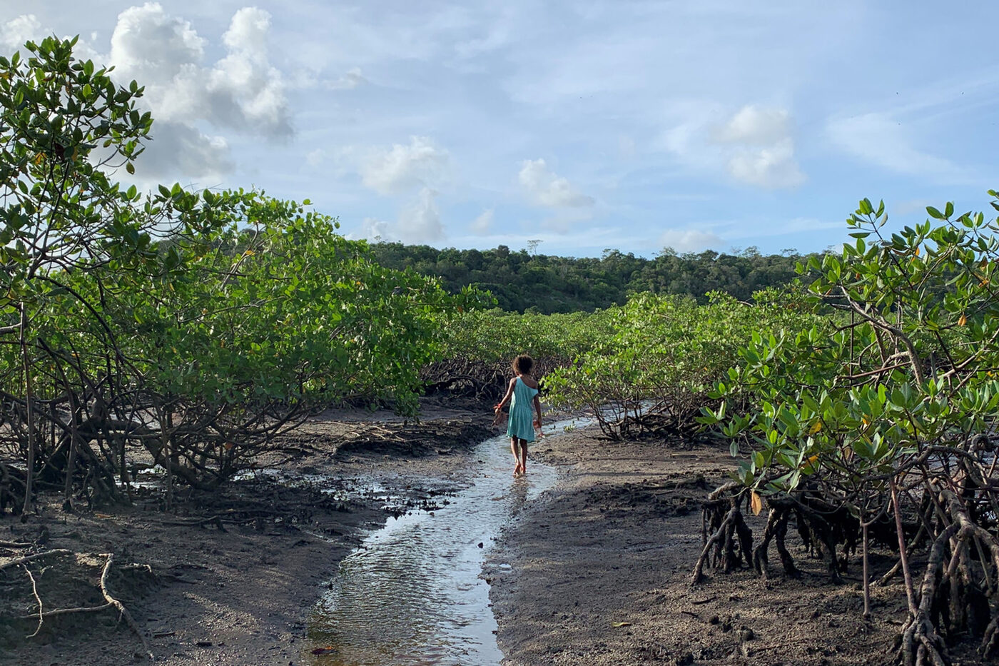 Caminhada pelo mangue no passeio eco social da pousada